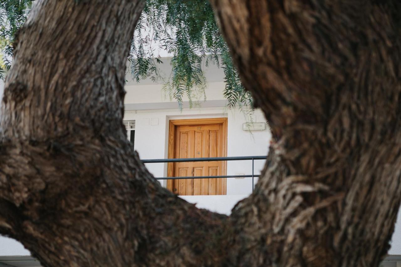 Apartamento luminoso cerca del mar y la montaña Puçol Exterior foto